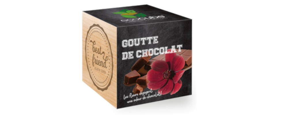 Un écocube senteur chocolat