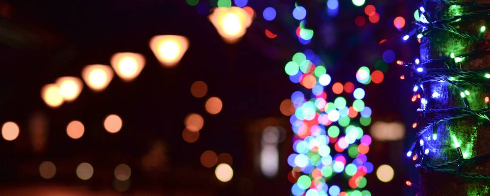Nos conseils pour votre arbre de Noël