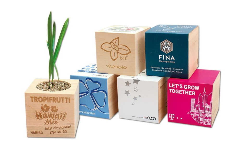 Ecocubes avec différents packagings